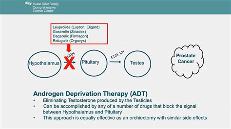 VIDEO: Localized Prostate Cancer: Androgen Deprivation Therapy (ADT) - 2021 Prostate Cancer ...