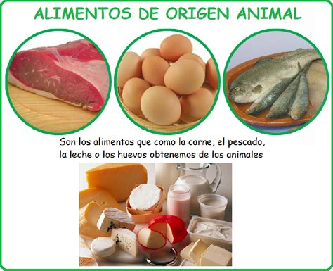 Origen De Los Alimentos Animal Vegetal Y Mineral - Mobile Legends