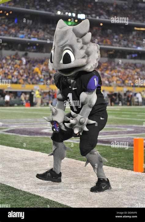 Aug. 31,2013:.TCU Horned Frog mascot in action.in a NCAA football Stock ...