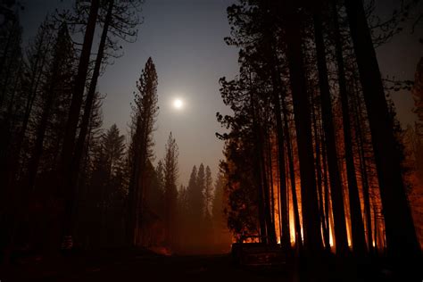 Aftermath of Caldor Fire in Grizzly Flats, California | Reuters News Agency