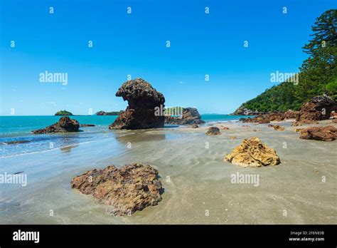 Scenic view of Cape Hillsborough beach in Cape Hillsborough National Park, Queensland, QLD ...