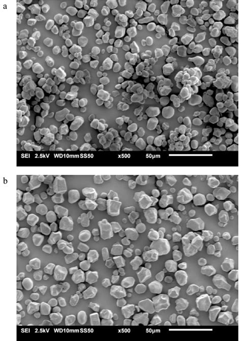 Representative SEM images of a high-amylose starch and b... | Download Scientific Diagram