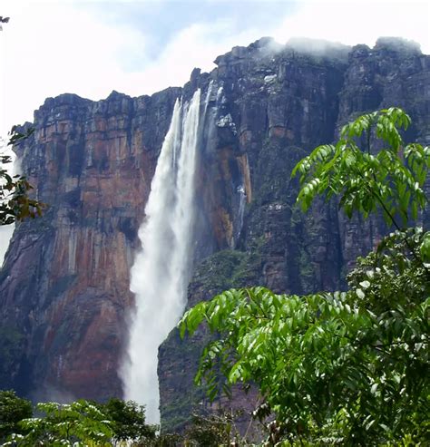 The Amazing Wildlife of Canaima National Park in Venezuela