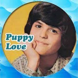 Donny Osmond - Puppy Love guitar chords