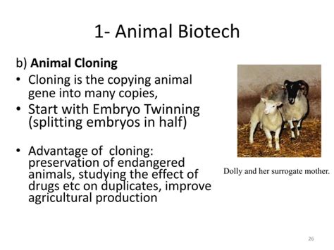 Introduction to Animal Biotechnology