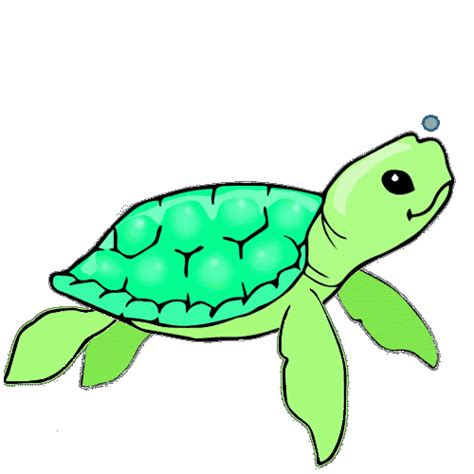 Swimming with turtles GIFs - Get the best gif on GIFER