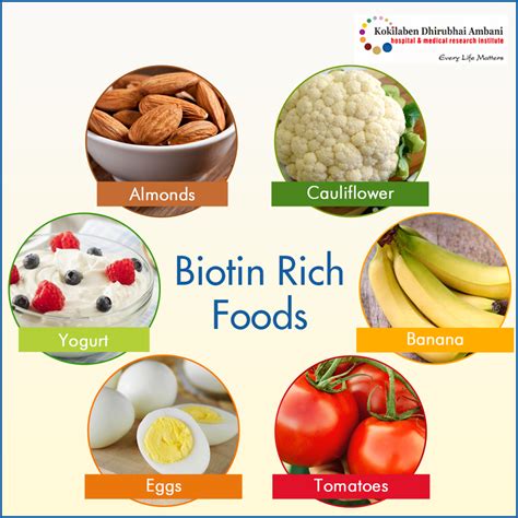 Biotin Rich Foods