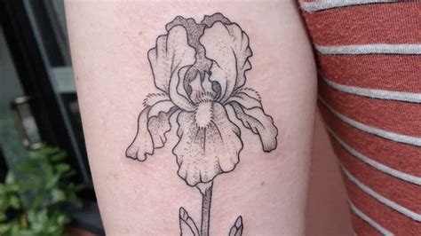 Iris Flower Tattoo Designs | Best Flower Site