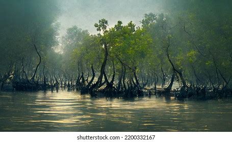 63 Sundarbans Art Images, Stock Photos & Vectors | Shutterstock