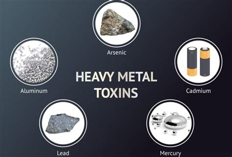 Heavy Metal Toxicity: Effects On Body & Ways To Prevent