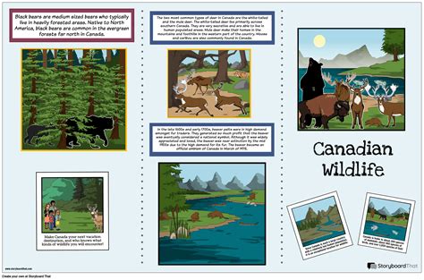 Canadian Nature and Wildlife Brochure Activity