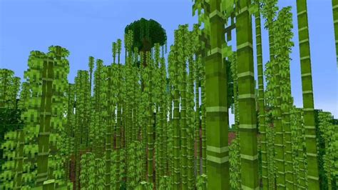 Minecraft Bamboo: Location, how to grow, uses and more! – FirstSportz