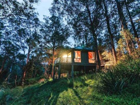 Bluegums Cabins | Barrington Tops Accommodation