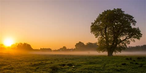 Stillness is a quality of 'being' naturally within us all. | Unimed Living