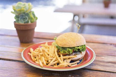 Burger with fries stock photo