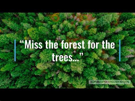 "Miss the Forest for the Trees" Idiom Meaning, Origin & History | Superduper English Idioms ...