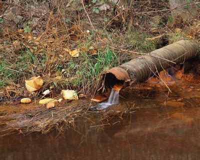 Ecologie si protectia mediului: Poluarea apei