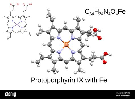 Protoporphyrin hi-res stock photography and images - Alamy