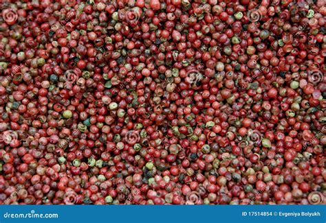 Red pepper seeds stock photo. Image of peppercorn, domestic - 17514854