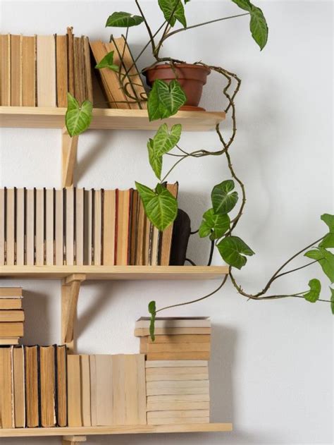 7 Best Bookshelves for Home Library - Tradeindia