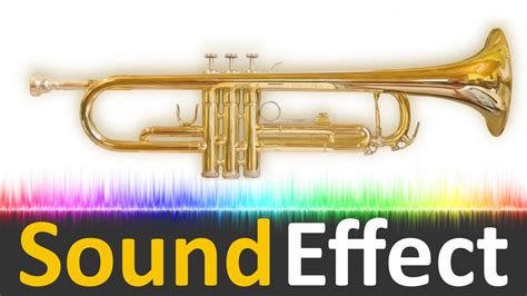 Trumpet Sound