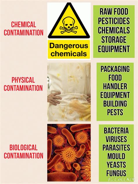 Contamination | Explained | Food safety tips, Hygienic food, Food ...