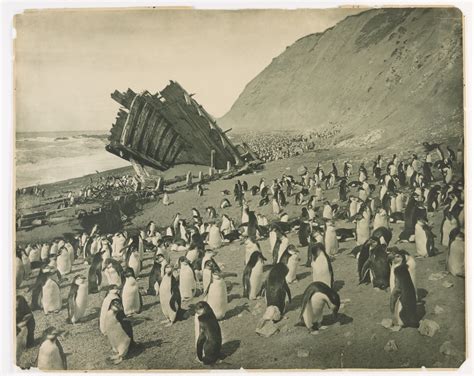 40 Amazing Photographs From the First Australasian Antarctic Expedition Between 1911-14 ...