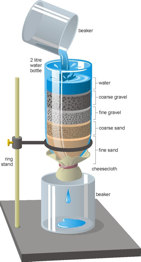 Water Purification - Allie Marx