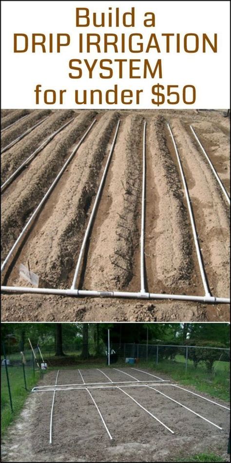 Vegetable Garden Drip System