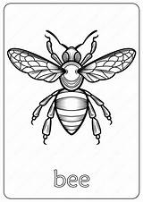 Free Printable Animals Bee Coloring Pages Book sketch template