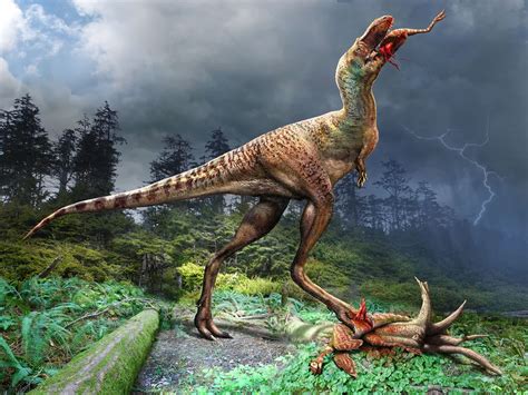 Amazing Fossil Preserves Teenage Tyrannosaur’s Last Meal | Smithsonian