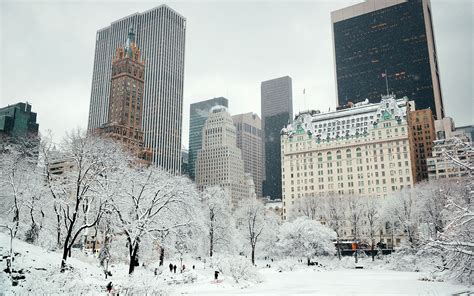 Central Park in Snow Jigsaw Puzzle