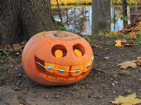 Orange Halloween pumpkin stock photo. Image of natural - 101599906