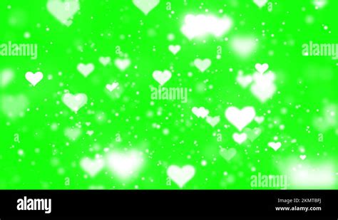 Loopable: Abstract White Love Hearts Animation on Green Screen ...