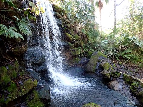 Rainbow Springs State Park and Swampy's-Florida - Obligatory Traveler