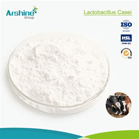 Best Selling Probiotics Lactobacillus Casei Powder Lactobacillus Caseis - Lactobacillus Casei ...