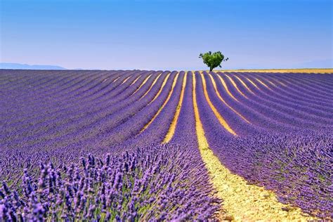 Best Time to Visit France | PlanetWare