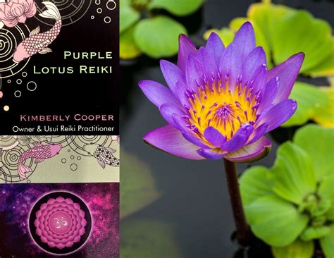 Purple Lotus Reiki - Reiki Healing, Holistic Therapy