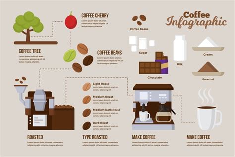 1,795 Coffee Processing Infographic Royalty-Free Photos and Stock ...