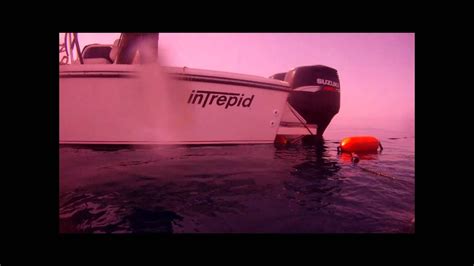 Freediving | The Lesson of the Untuned Flopper | Spearfishing Gulf of Mexico - YouTube