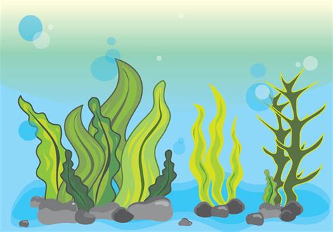 Seaweed Illustration Scene Underwater 160263 Vector Art at Vecteezy