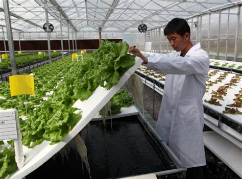 Sci-Tech Progress Will Propel China's Agriculture