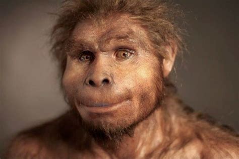 Hominid Reconstructions Are A Blast From The Past (16 pics) | Hominid ...