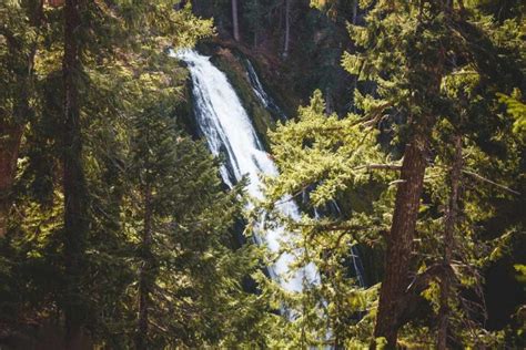 10 Waterfalls Near Klamath Falls You've Got to See!