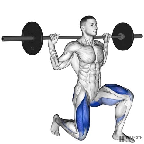 Barbell Reverse Lunge Standards for Men and Women (lb) - Strength Level