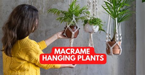 Macrame Hanging Plants