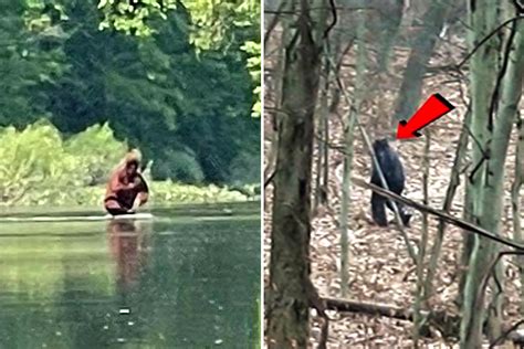 Five best 'Bigfoot sightings of last 10 years that PROVE legendary beast exists' as believers ...