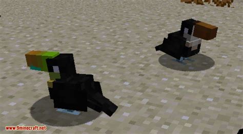 Exotic Birds Mod (1.19.2, 1.18.2) - Birds Take Over Minecraft - Mc-Mod.Net