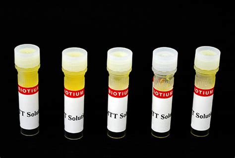 MTT Cell Viability Assay Kit - Biotium