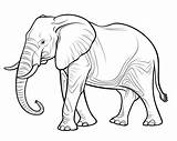 Elephant Coloring Pages sketch template